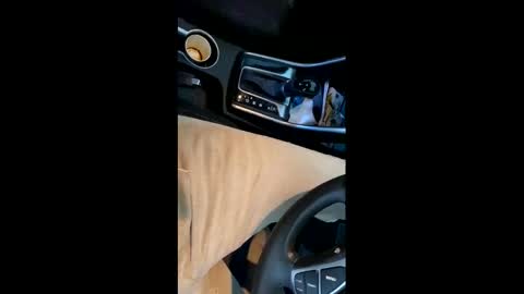 danbubs online show from 16, 12, 2024