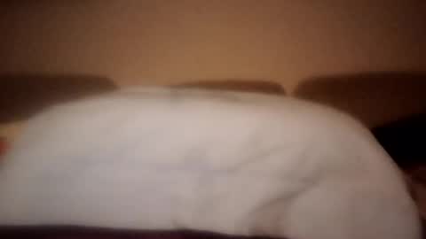 Snapshot of dani225812 chatting on 18, 9, 2025 Dani225812 online show from 18, 9, 2025