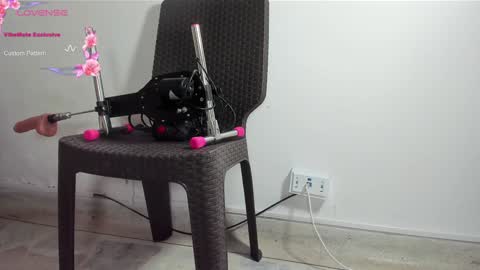 Snapshot of dani_ary chatting on 13, 1, 2025 DANI online show from 13, 1, 2025