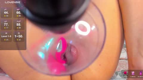 DANIA online show from 6, 4, 2026