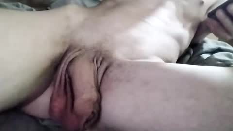 danicrss8 online show from 6, 3, 2026