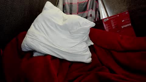 Just Ben online show from 24, 3, 2026