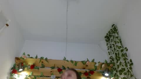 Daniela online show from 5, 3, 2025