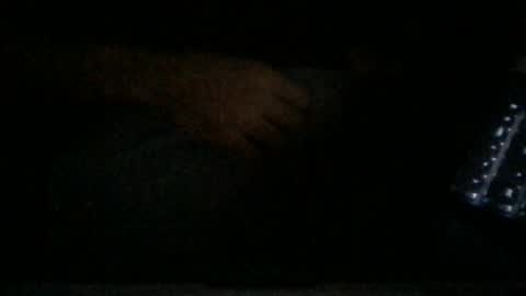 Snapshot of danjohnny3000 chatting on 28, 12, 2024 jerking off secretly edging talk dirty to me so i stroke harder online show from 28, 12, 2024