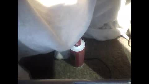 Snapshot of dankosy747996 chatting on 19, 12, 2025 TheDude online show from 19, 12, 2025