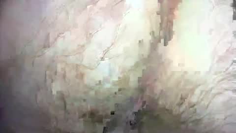 Snapshot of dankz4two0 chatting on 21, 12, 2024 dankz4two0 online show from 21, 12, 2024