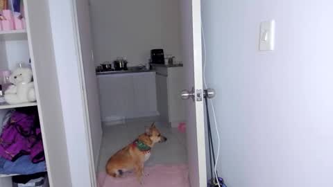 Snapshot of danna_rhodesx chatting on 30, 11, 2025 Danna Rhodes online show from 30, 11, 2025