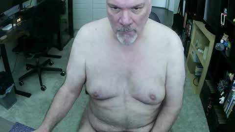 Danny bear online show from 8, 3, 2026