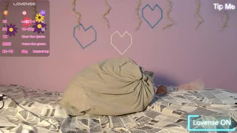 dante_bear online show from 13, 2, 2026