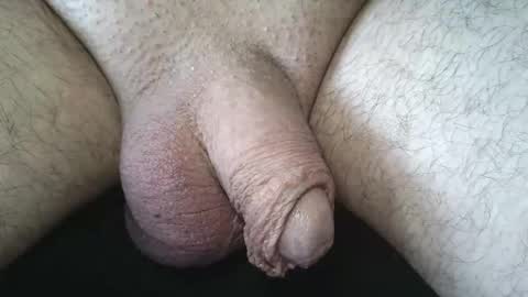 Snapshot of dapppper chatting on 20, 5, 2026 dapppper online show from 20, 5, 2026
