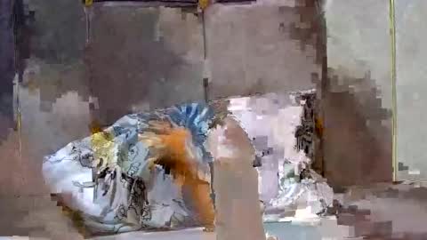 Snapshot of dark_candy254 chatting on 13, 12, 2024 Dark Candy 254 online show from 13, 12, 2024