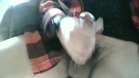 Dartrok online show from 17, 2, 2025