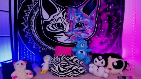 daryimiau online show from 20, 4, 2026