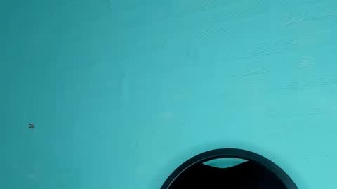 Dafne online show from 6, 3, 2025