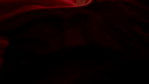 dasquirtmaster online show from 27, 3, 2026