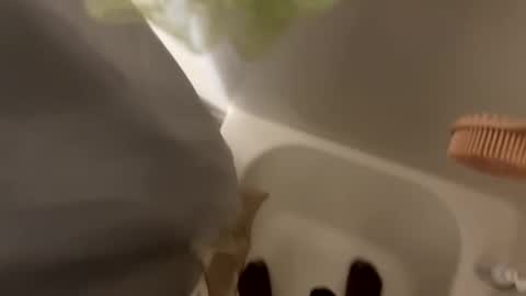 dasquirtmaster online show from 29, 3, 2026