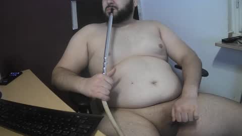 dauergeiil online show from 3, 2, 2025