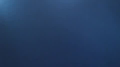 davdao3 online show from 2, 11, 2025