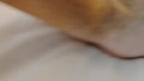 david1982yesyes online show from 2, 3, 2026