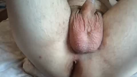 davidassboy69 online show from 18, 6, 2026