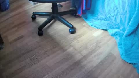 Hugo online show from 12, 2, 2025