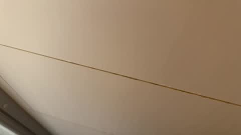 Snapshot of daxie002 chatting on 15, 1, 2026 Hornybear online show from 15, 1, 2026