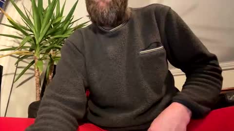 dayblue online show from 26, 2, 2026