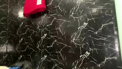 May online show from 12, 4, 2026