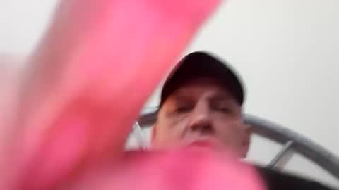 dazzaboxer online show from 2, 10, 2025