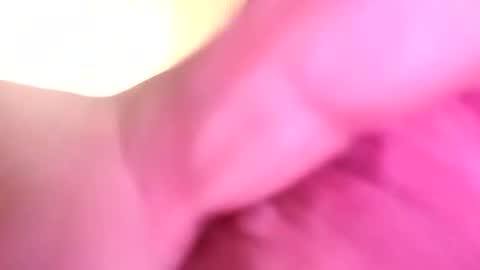 dazzaboxer online show from 16, 11, 2025