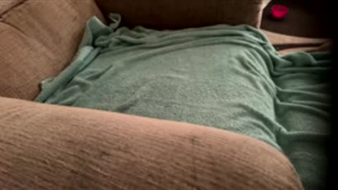 dcooper92 online show from 13, 4, 2026