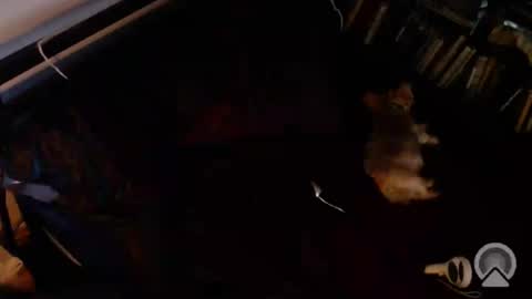 Snapshot of dcteamfucker chatting on 20, 7, 2026 DCTeamFucker online show from 20, 7, 2026