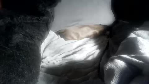 ddick0303 online show from 12, 4, 2026