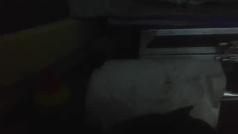 de_maskedcouple online show from 19, 1, 2025