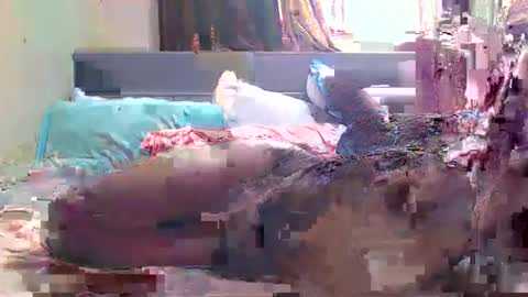 Snapshot of debbyslatter chatting on 21, 2, 2025 debbyslatter online show from 21, 2, 2025