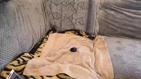 deepandwet86 online show from 28, 2, 2026