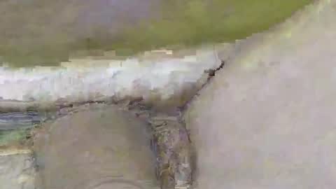 Snapshot of deepdiver3366 chatting on 2, 11, 2025 Dive Deep online show from 2, 11, 2025