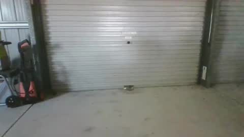 deepxox online show from 12, 10, 2025