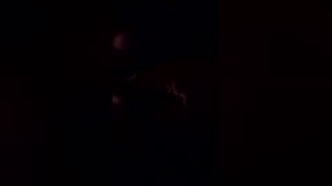 deerpark9 online show from 19, 4, 2026