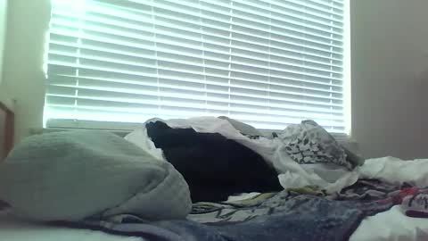 Snapshot of delightfuldark chatting on 15, 2, 2025 delightfuldark online show from 15, 2, 2025