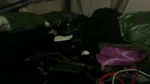 Snapshot of delightfuldark chatting on 3, 10, 2025 delightfuldark online show from 3, 10, 2025