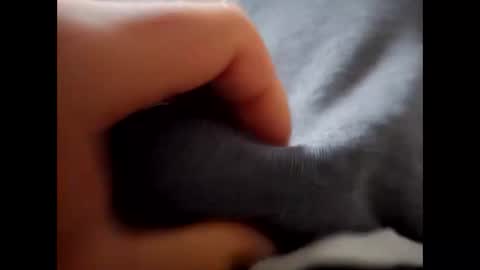 deliv_shopi online show from 1, 12, 2025