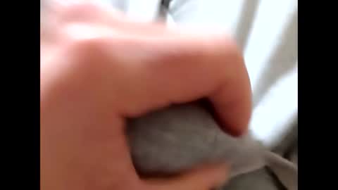 Snapshot of deliv_shopi chatting on 8, 1, 2026 deliv_shopi online show from 8, 1, 2026