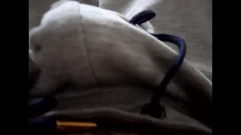 Snapshot of deliv_shopi chatting on 15, 1, 2026 deliv_shopi online show from 15, 1, 2026