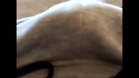 Snapshot of deliv_shopi chatting on 22, 2, 2026 deliv_shopi online show from 22, 2, 2026