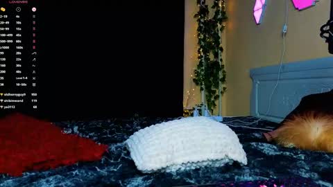 Snapshot of demmi_foxy chatting on 15, 2, 2025 Demmi online show from 15, 2, 2025