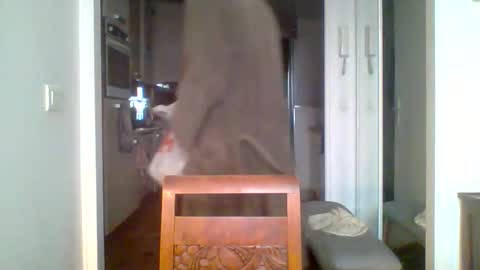 demundu online show from 17, 11, 2025