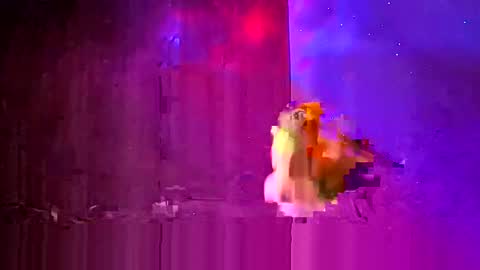 den2807 online show from 24, 3, 2026