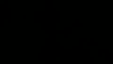 Denzel King3 online show from 14, 11, 2025