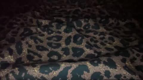 derek829099 online show from 7, 11, 2025